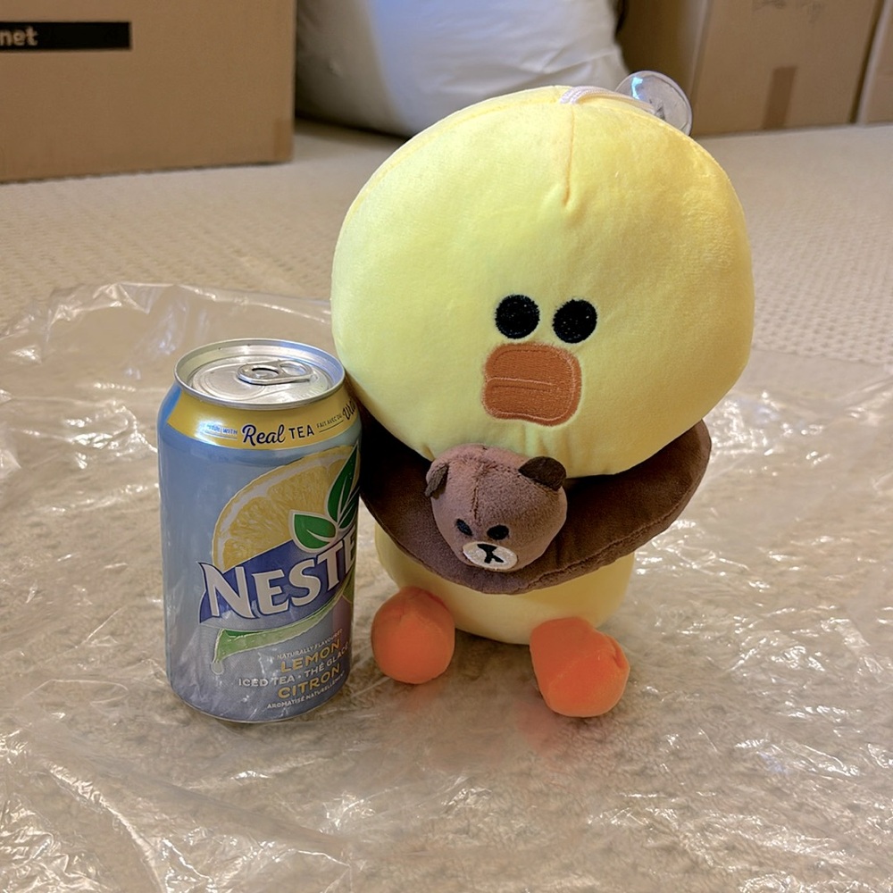 Duck with bear floatie